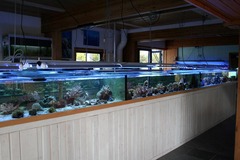 Killikus&reg; Fotographie